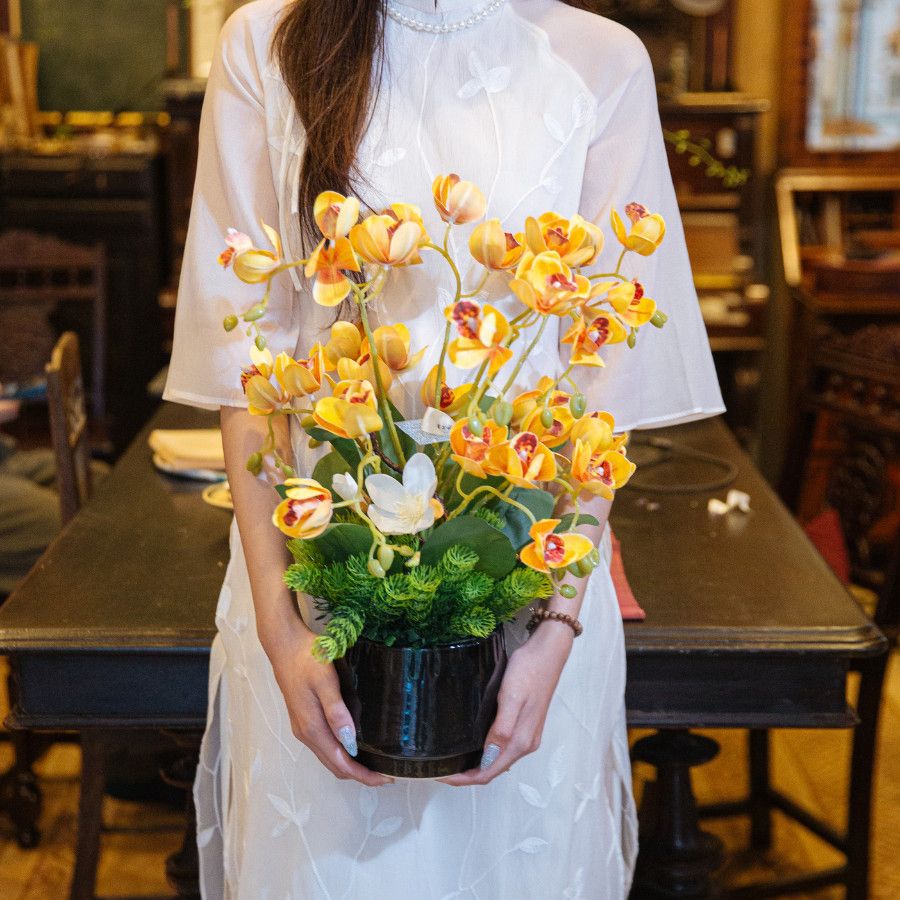  BST LAN - HOA LAN VÀNG 