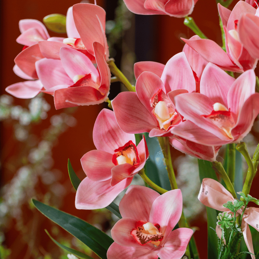  BST LAN - ĐỊA LAN HỒNG 3 NHÁNH 