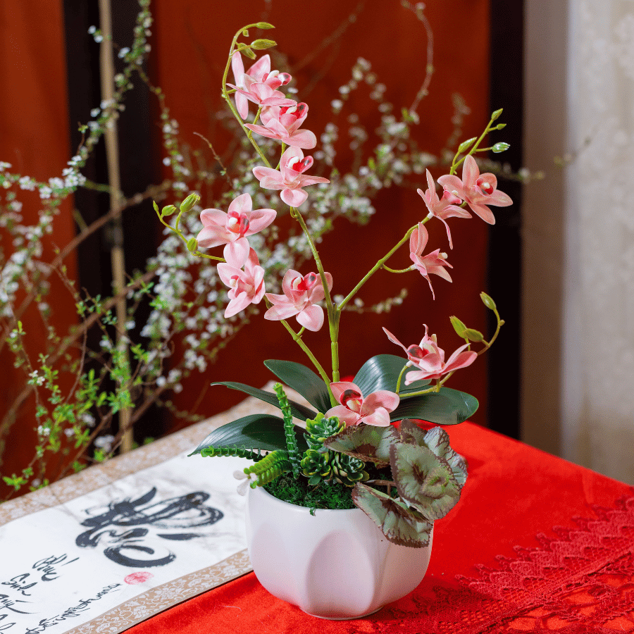  BTS LAN - TIỂU HỒ ĐIỆP HỒNG NHẠT 