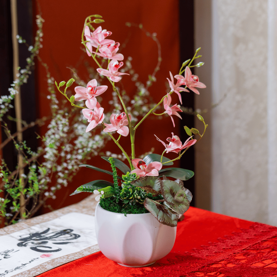  BTS LAN - TIỂU HỒ ĐIỆP HỒNG NHẠT 