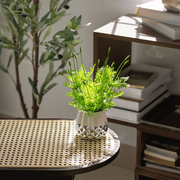  85ART - CÂY LỘC THIÊN THANH 