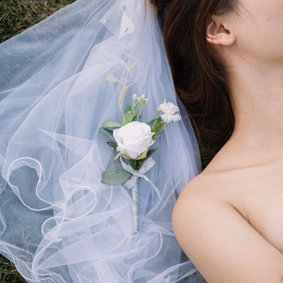  HOA CÀI ÁO -  THÂN TRẮNG 