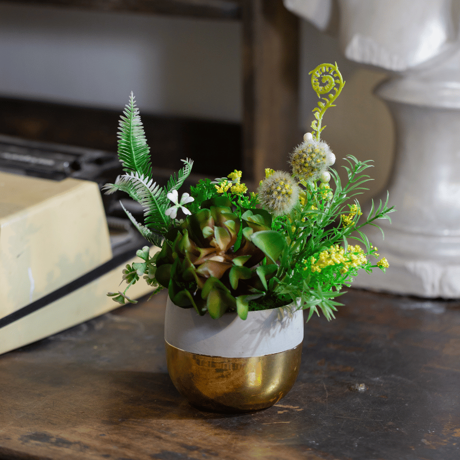  85ART - CHẬU SEN ĐÁ 