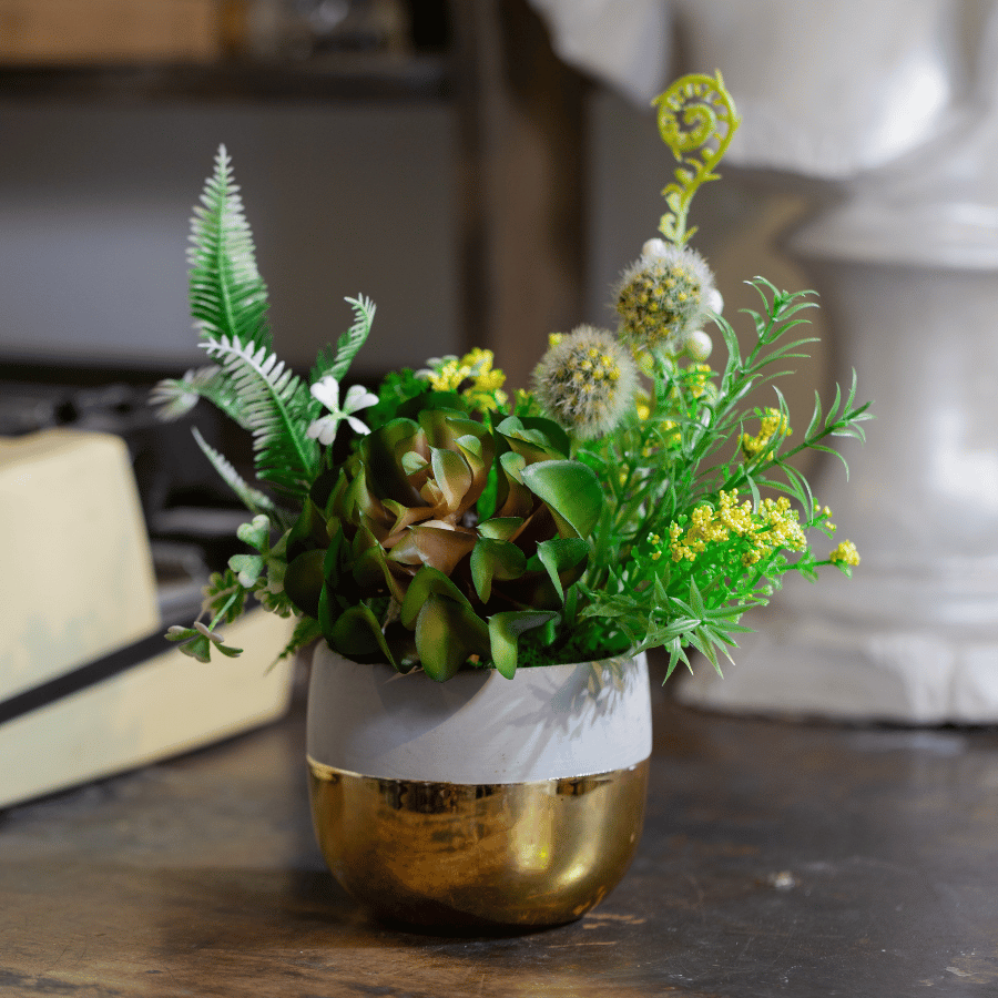  85ART - CHẬU SEN ĐÁ 