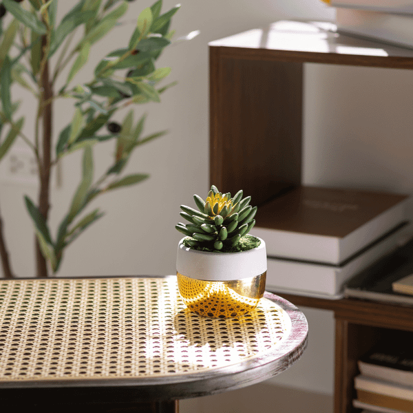  85ART - CÂY SEN ĐÁ 