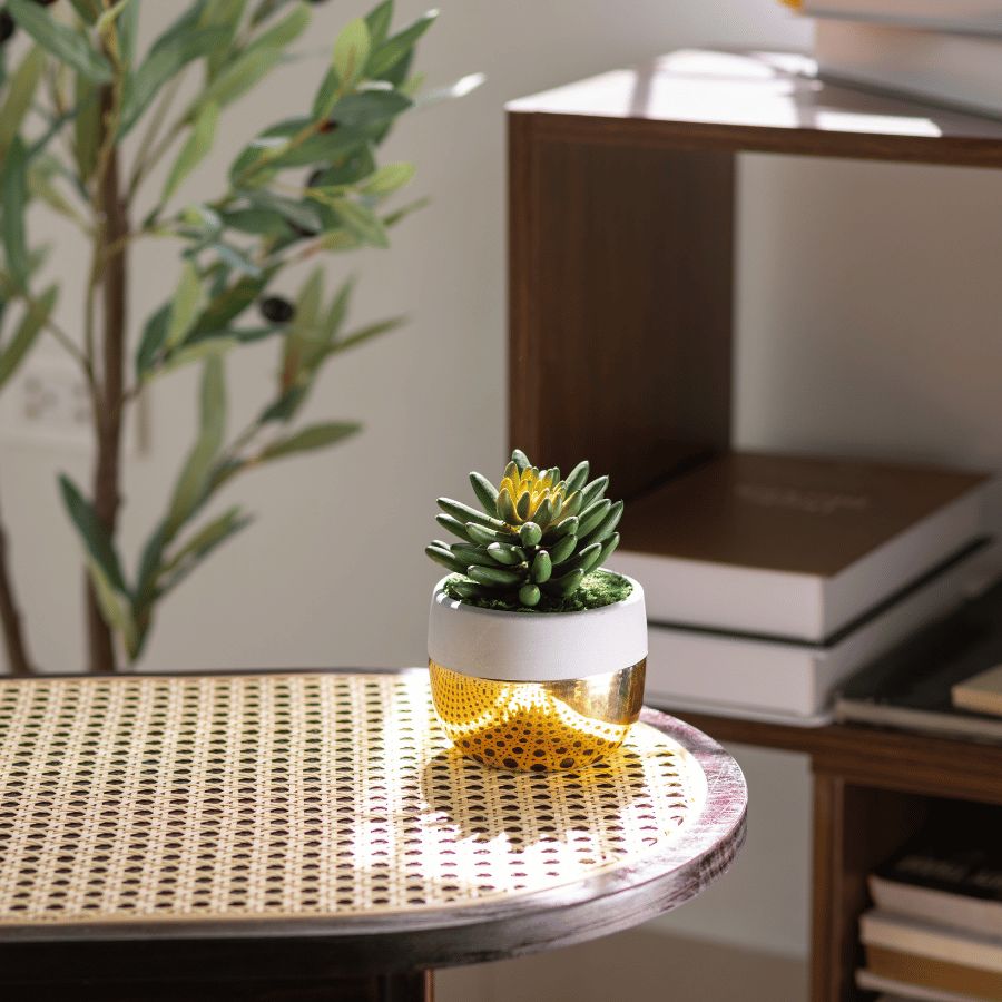  85ART - CÂY SEN ĐÁ 