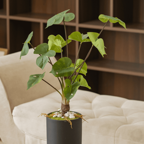  85ART - CÂY TRẦU BÀ 