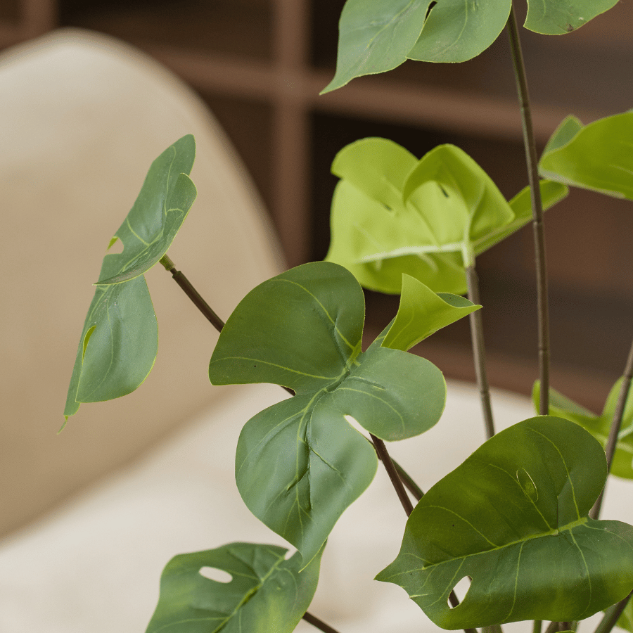  85ART - CÂY TRẦU BÀ 