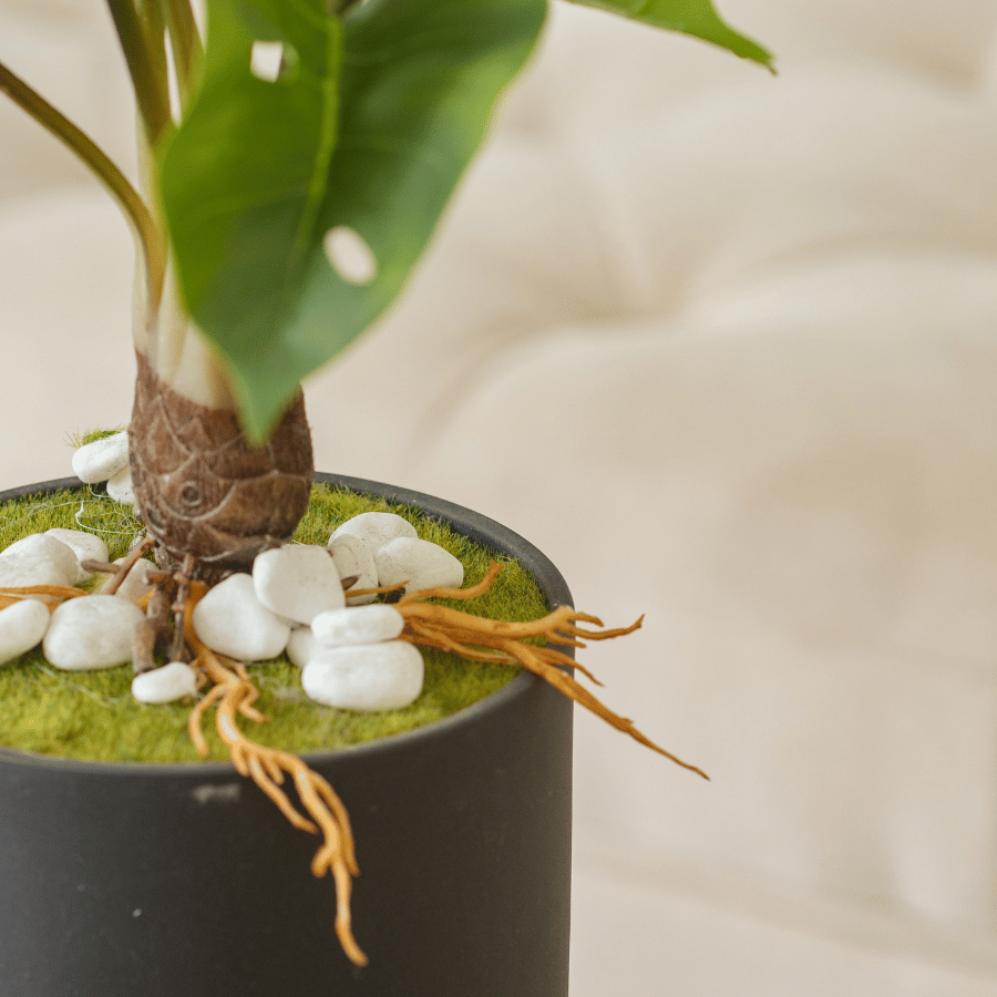  85ART - CÂY TRẦU BÀ 