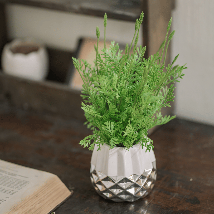  85ART - CÂY LỘC THIÊN THANH 