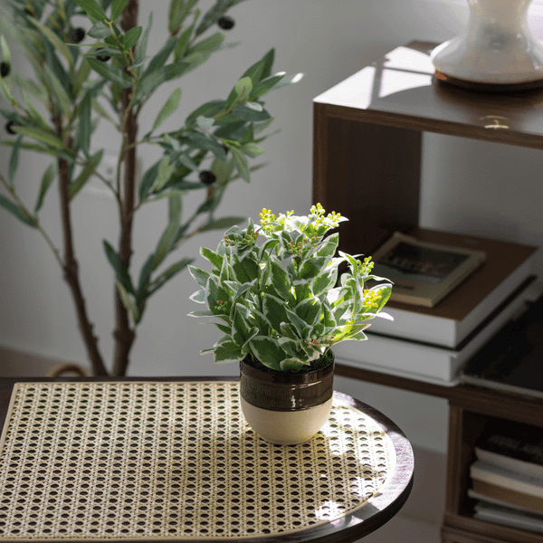  85ART - CÂY HOA TUYẾT 