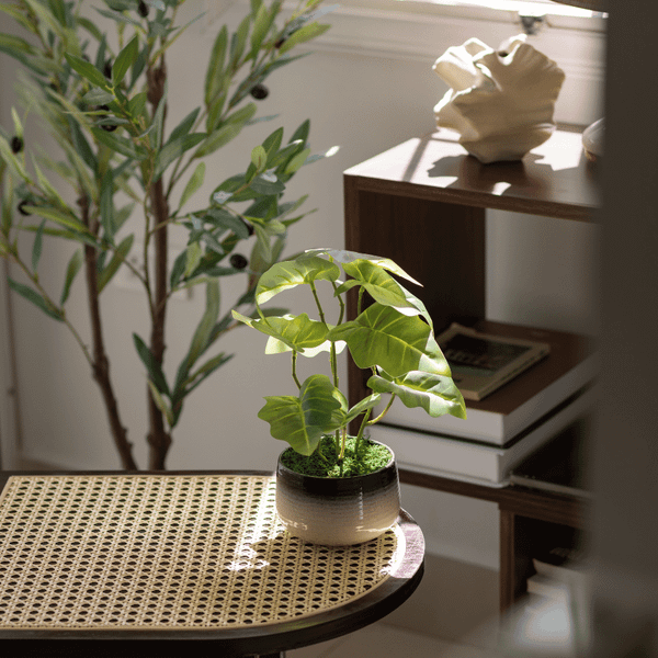  85ART - CÂY MÔN XANH 