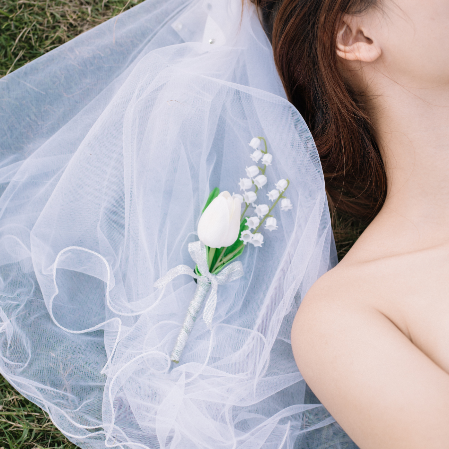  HOA CÀI ÁO - TULIP TRẮNG 