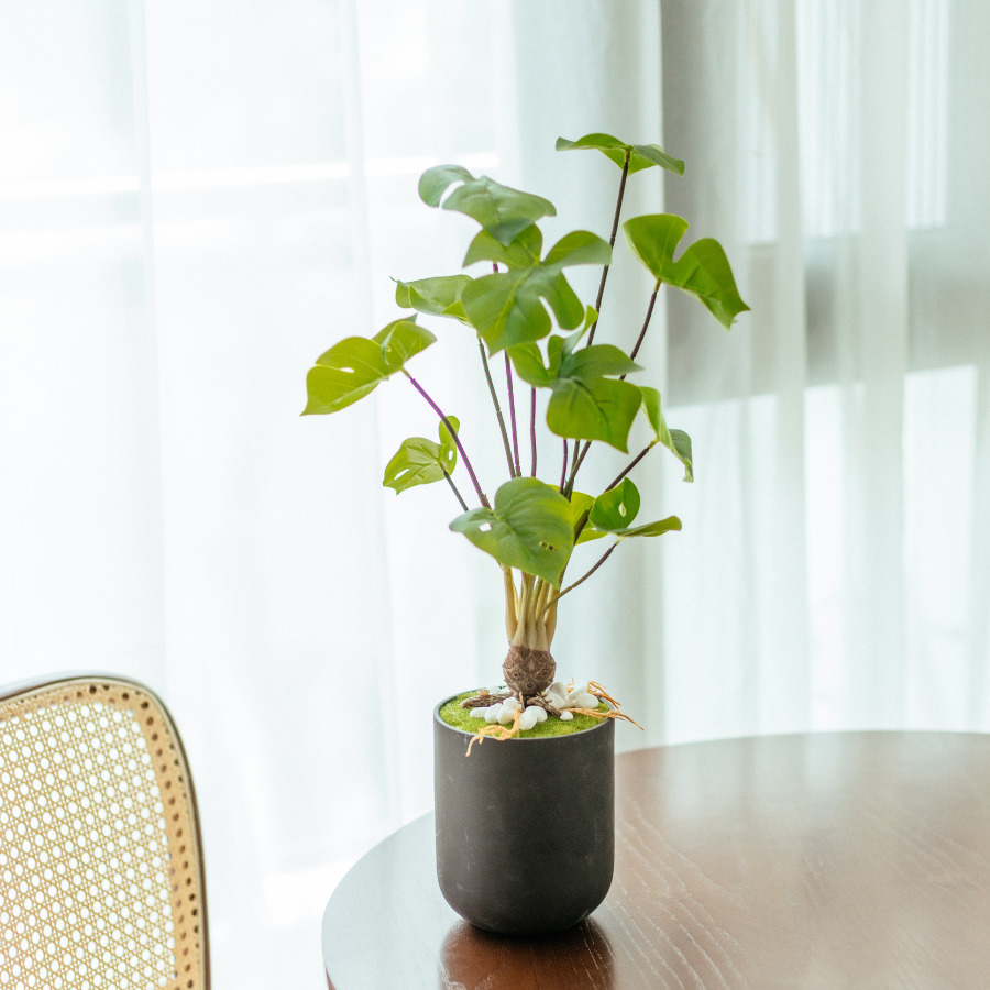  85ART - CÂY TRẦU BÀ 