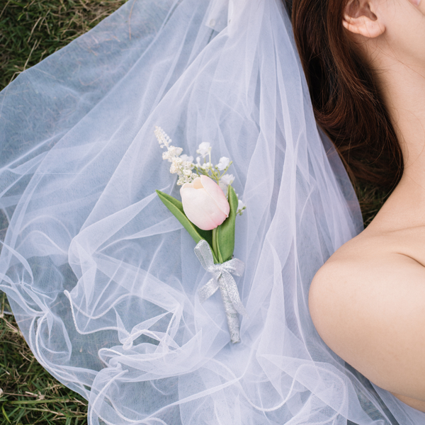  HOA CÀI ÁO - TULIP HỒNG 