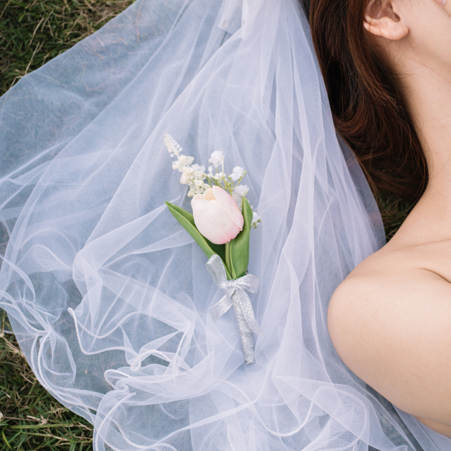  HOA CÀI ÁO - TULIP HỒNG 