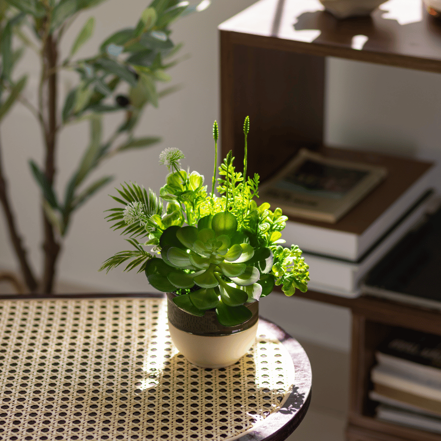  85ART - CHẬU SEN ĐÁ MIX 