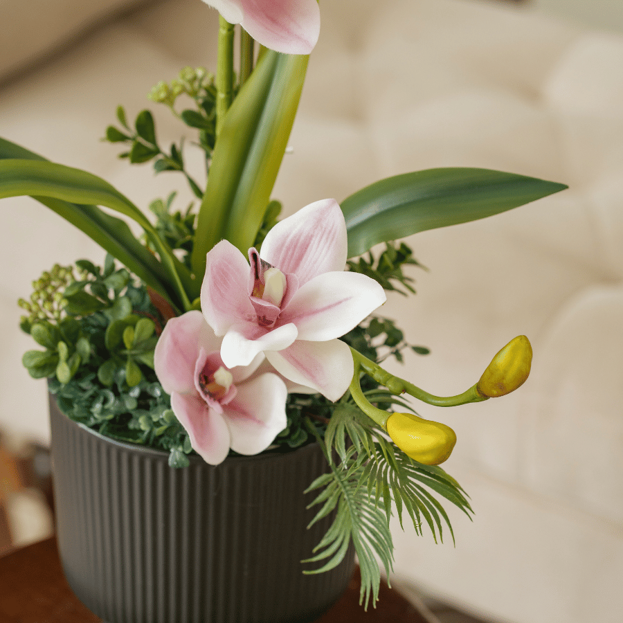  BST LAN - ĐỊA LAN HỒNG 