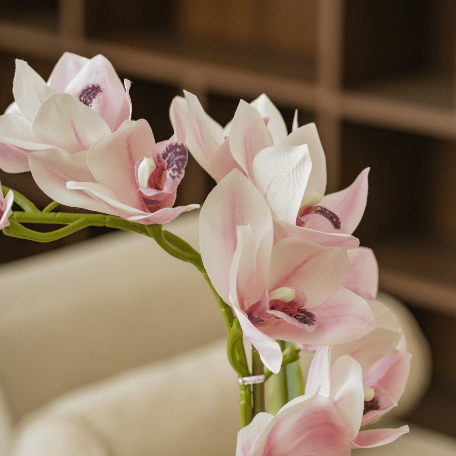  BST LAN - ĐỊA LAN HỒNG 