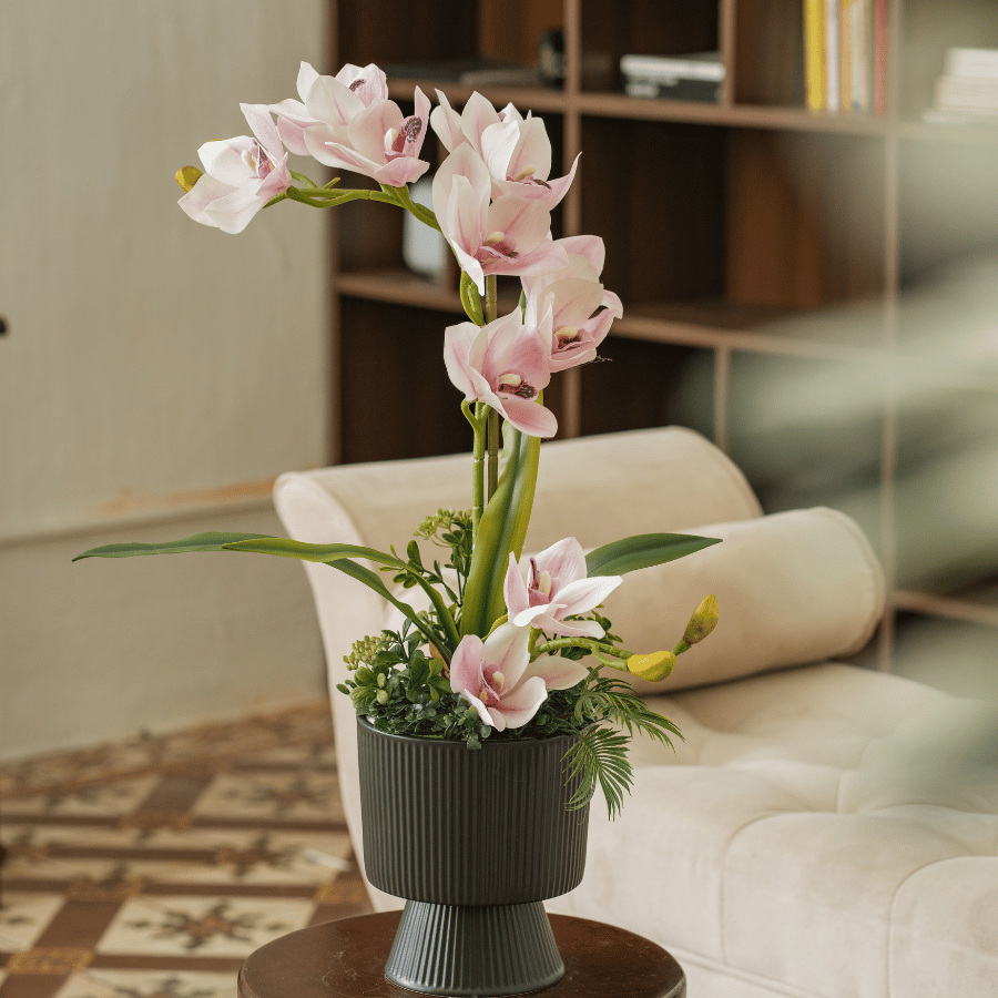  BST LAN - ĐỊA LAN HỒNG 