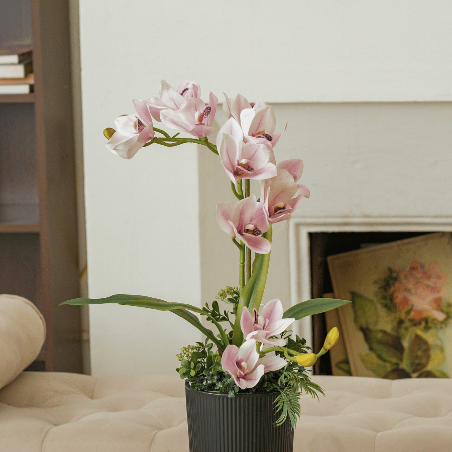  BST LAN - ĐỊA LAN HỒNG 