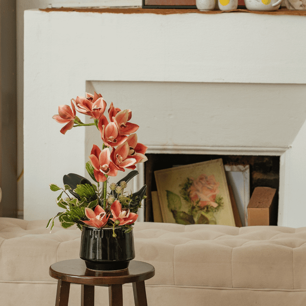  BST LAN - ĐỊA LAN CAM 