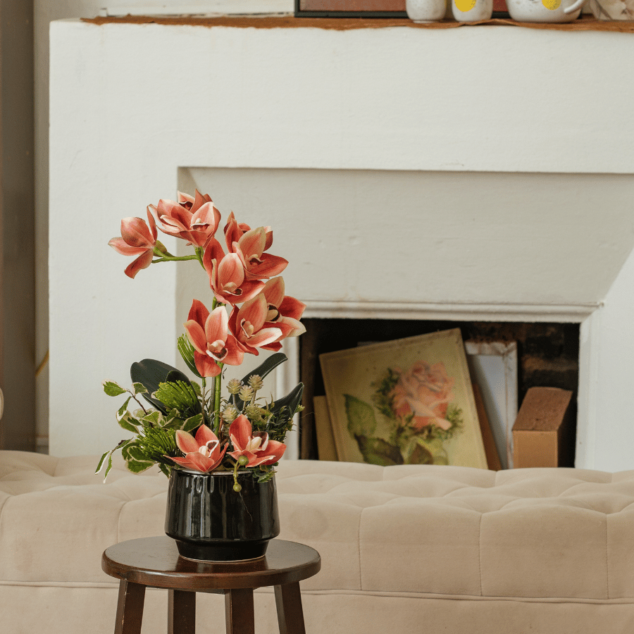  BST LAN - ĐỊA LAN CAM 