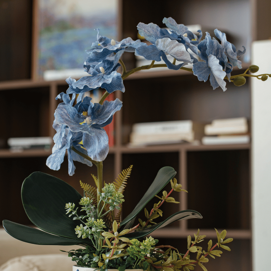  BST LAN - LAN HỒ ĐIỆP XANH 