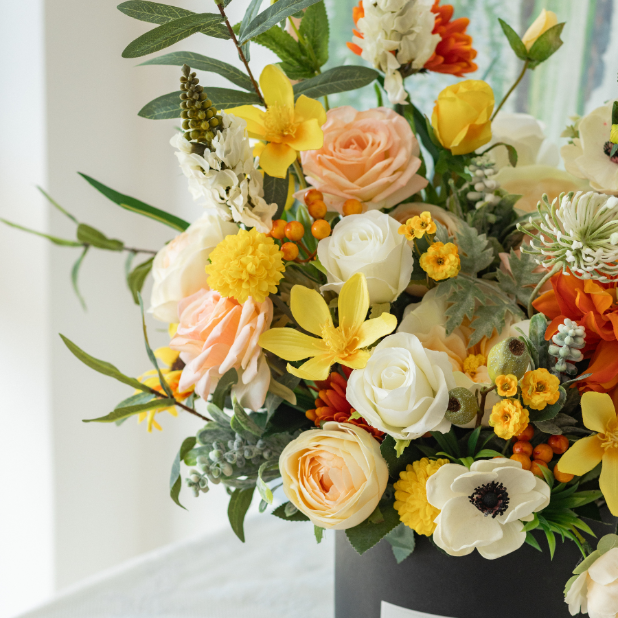  BALL BOX - LULLABY L 