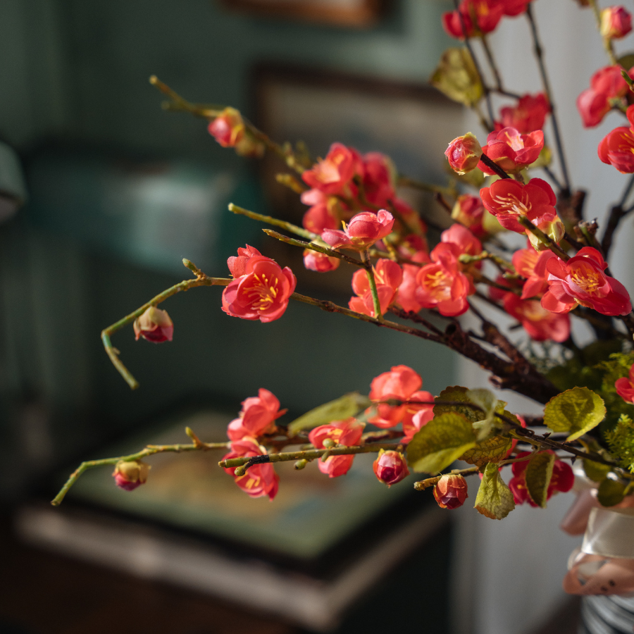  HOA TẾT - HOA ĐÀO 