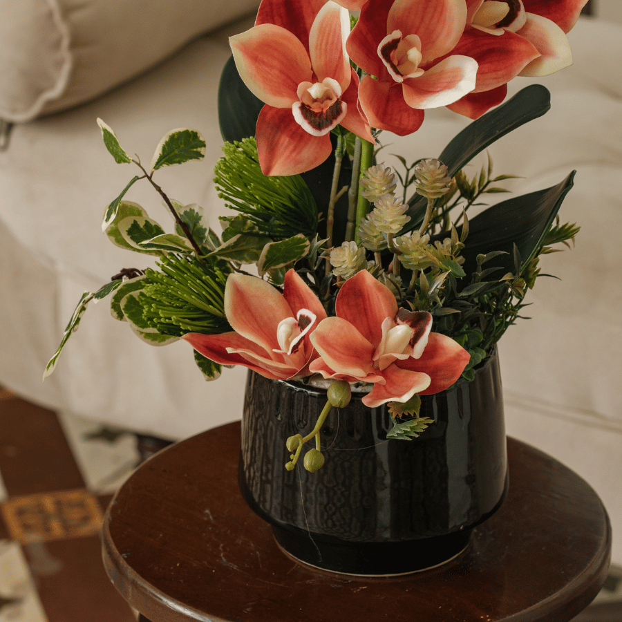  BST LAN - ĐỊA LAN CAM 