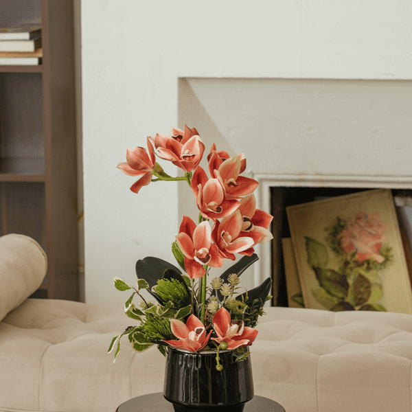  BST LAN - ĐỊA LAN CAM 