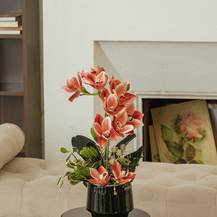  BST LAN - ĐỊA LAN CAM 