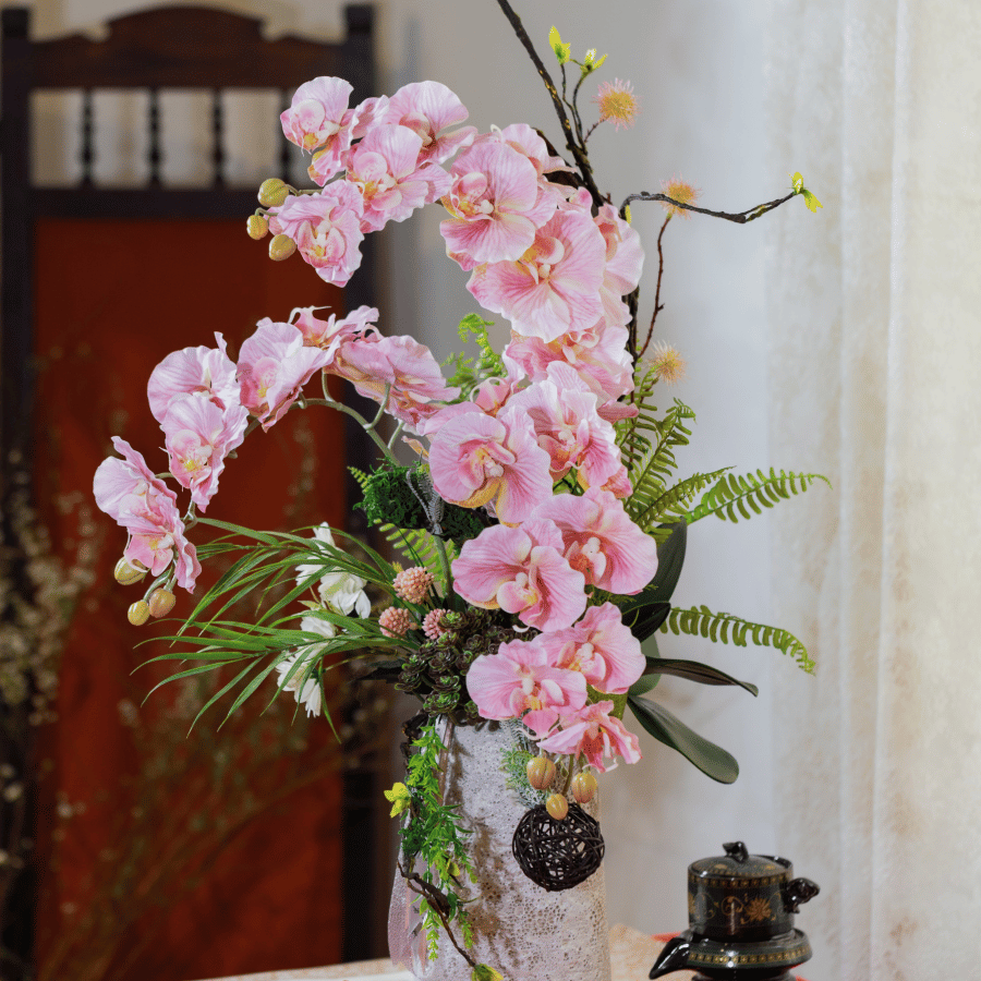  BST LAN - LAN HỒ ĐIỆP CÁNH XOĂN HỒNG 3 NHÁNH 