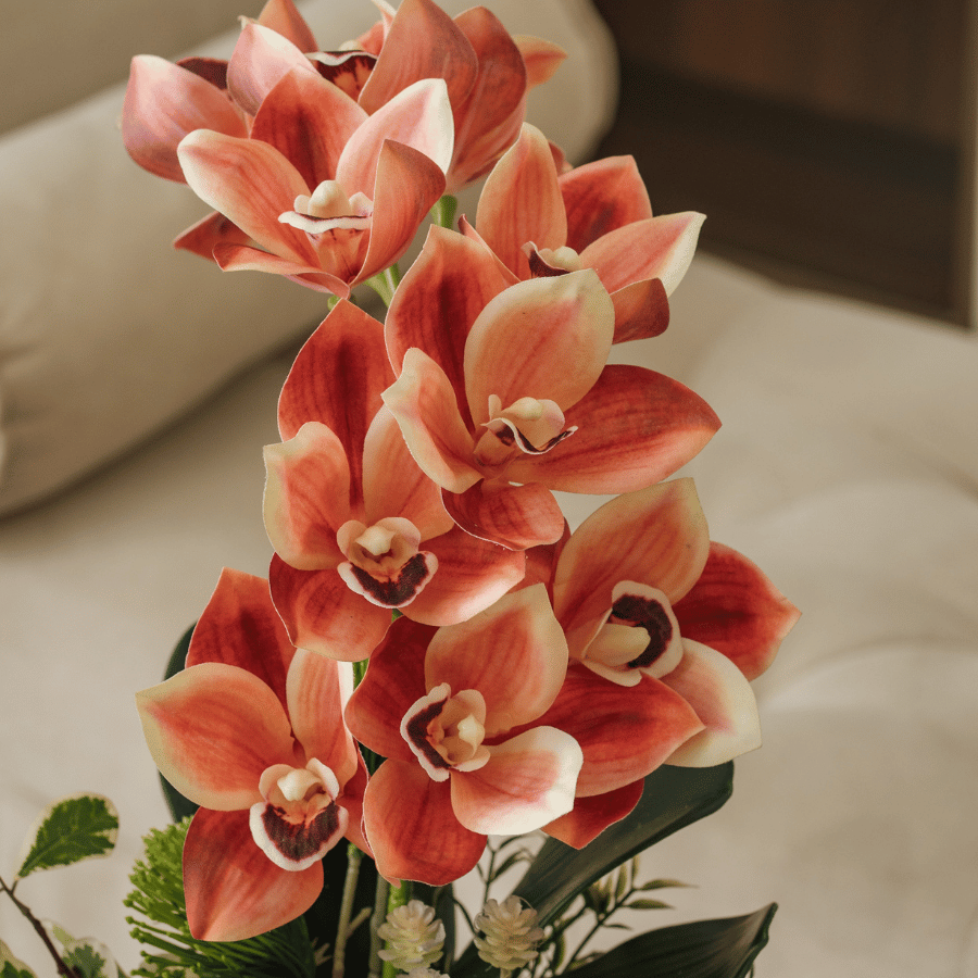  BST LAN - ĐỊA LAN CAM 