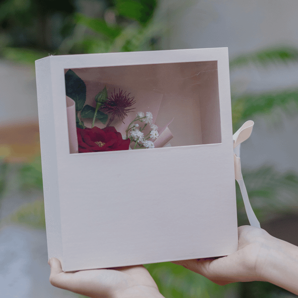  VALENTINE GIFT - ALVA 