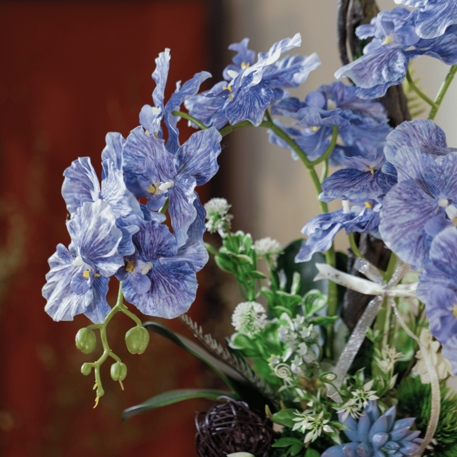  BST LAN - LAN HỒ ĐIỆP XANH CÁNH XOĂN 3 NHÁNH 