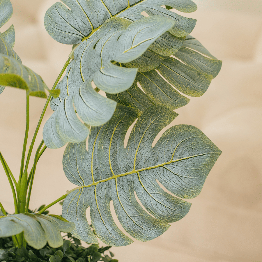  85ART - CÂY LÁ TRẮNG 