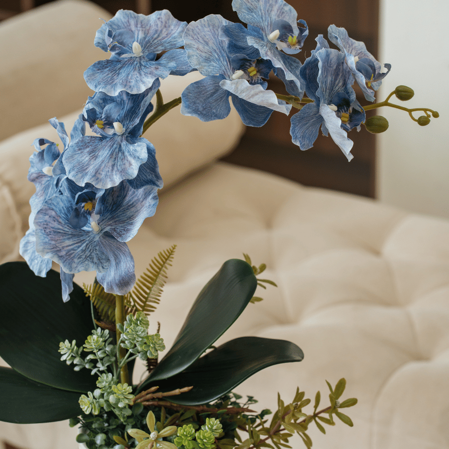  BST LAN - LAN HỒ ĐIỆP XANH 