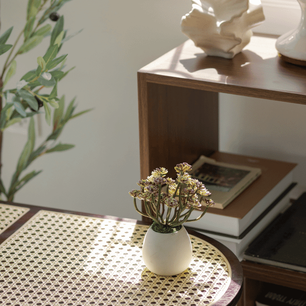  85ART - CÂY SEN ĐÁ MINI 