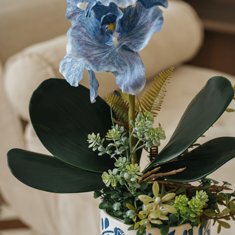  BST LAN - LAN HỒ ĐIỆP XANH 