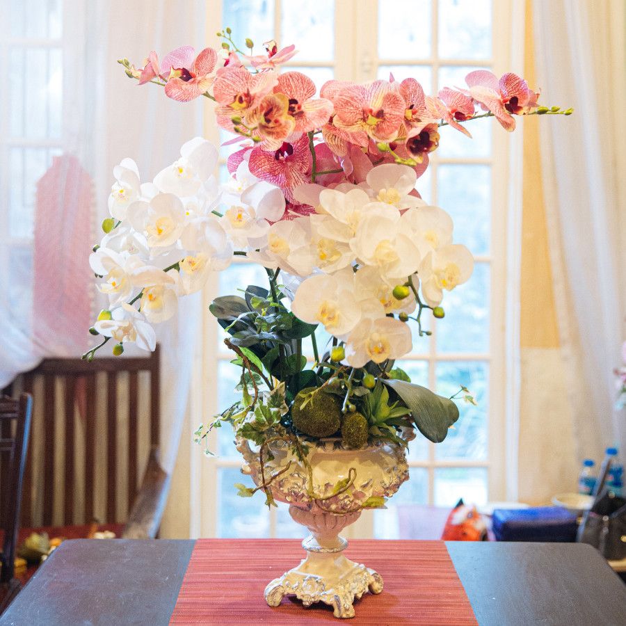  BST LAN - LAN HỒNG TRẮNG 