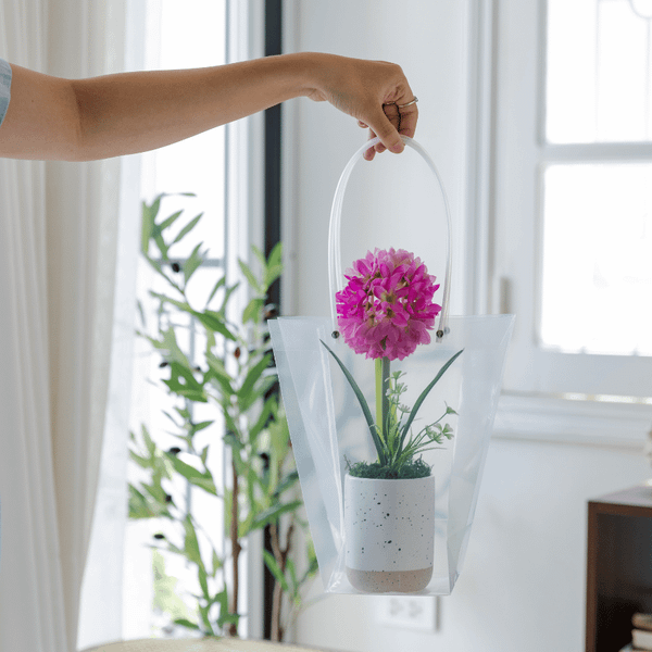  85ART - CÂY HỒNG TÚ CẦU HỒNG 