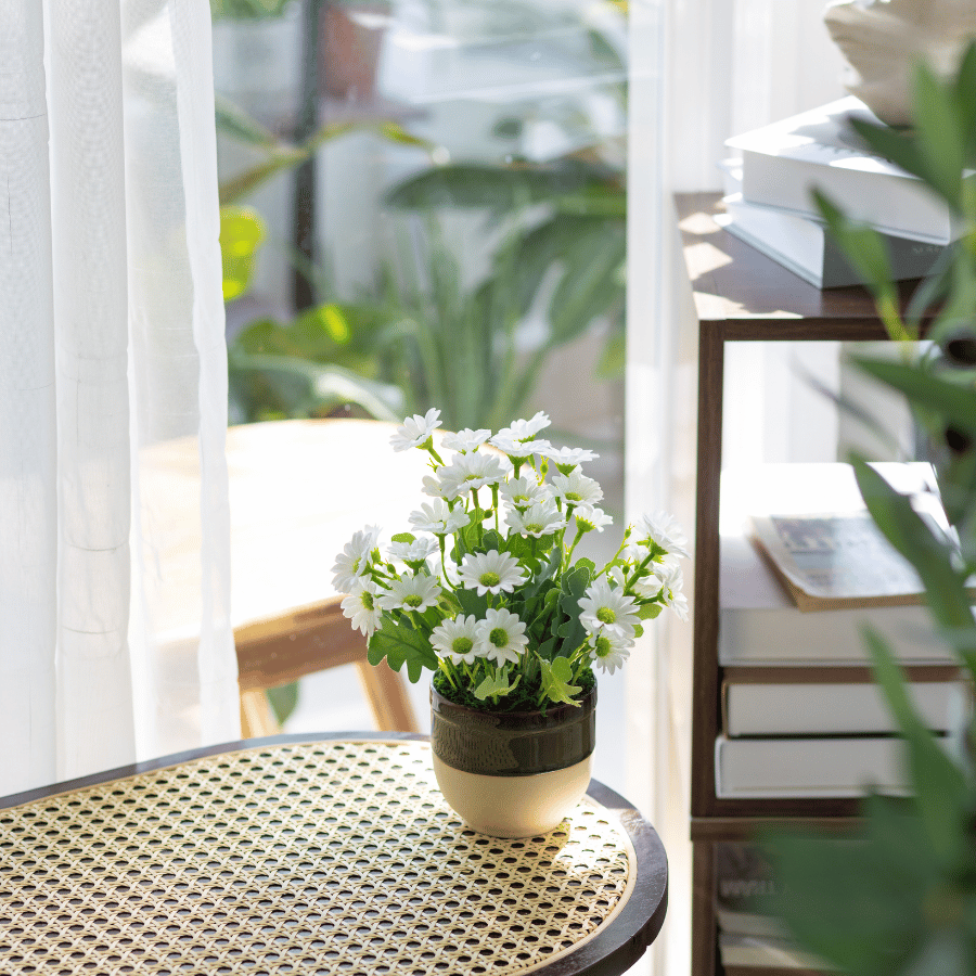  85ART - CHẬU CÚC HỌA MI 