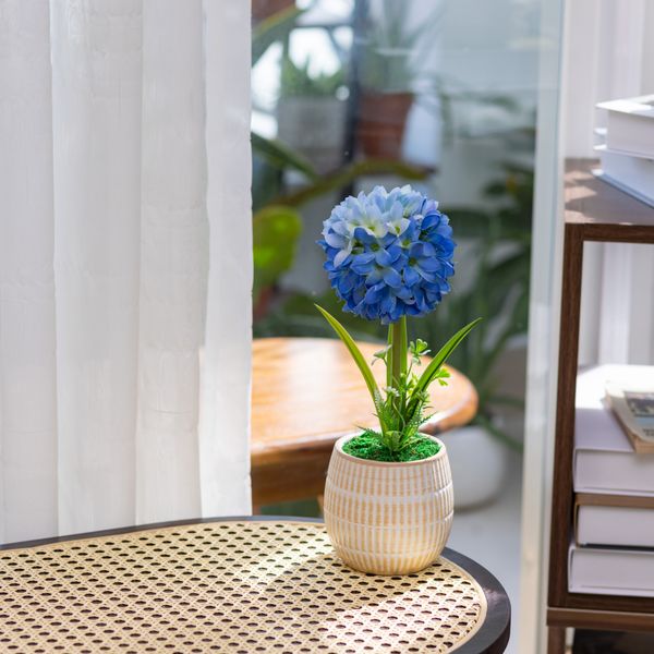  85ART - CÂY HỒNG TÚ CẦU XANH 