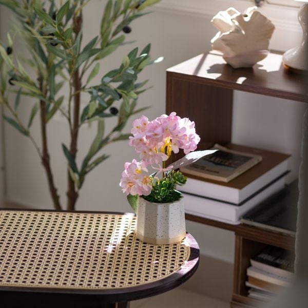  85ART - CÂY CẨM TÚ CẦU HỒNG 