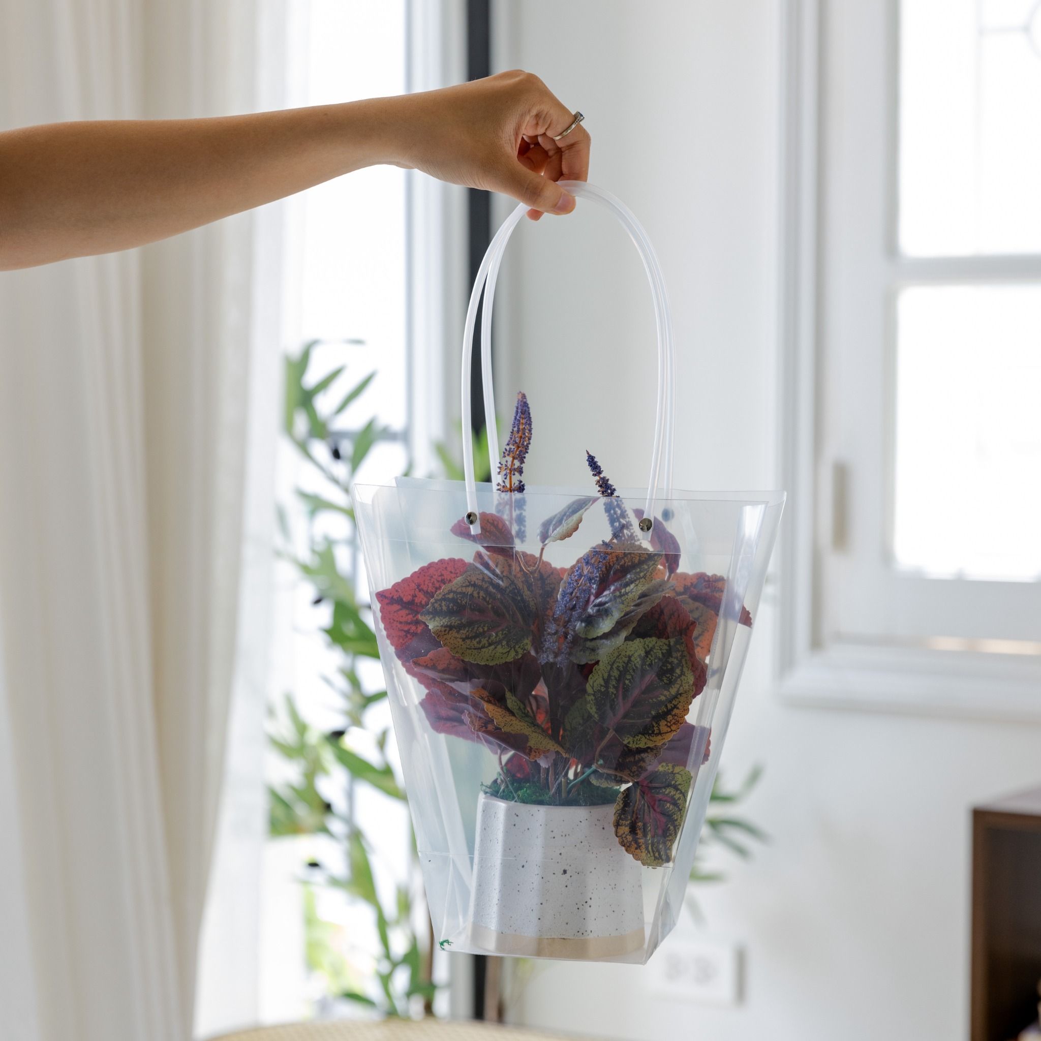  85ART - CÂY TÍA TÔ 