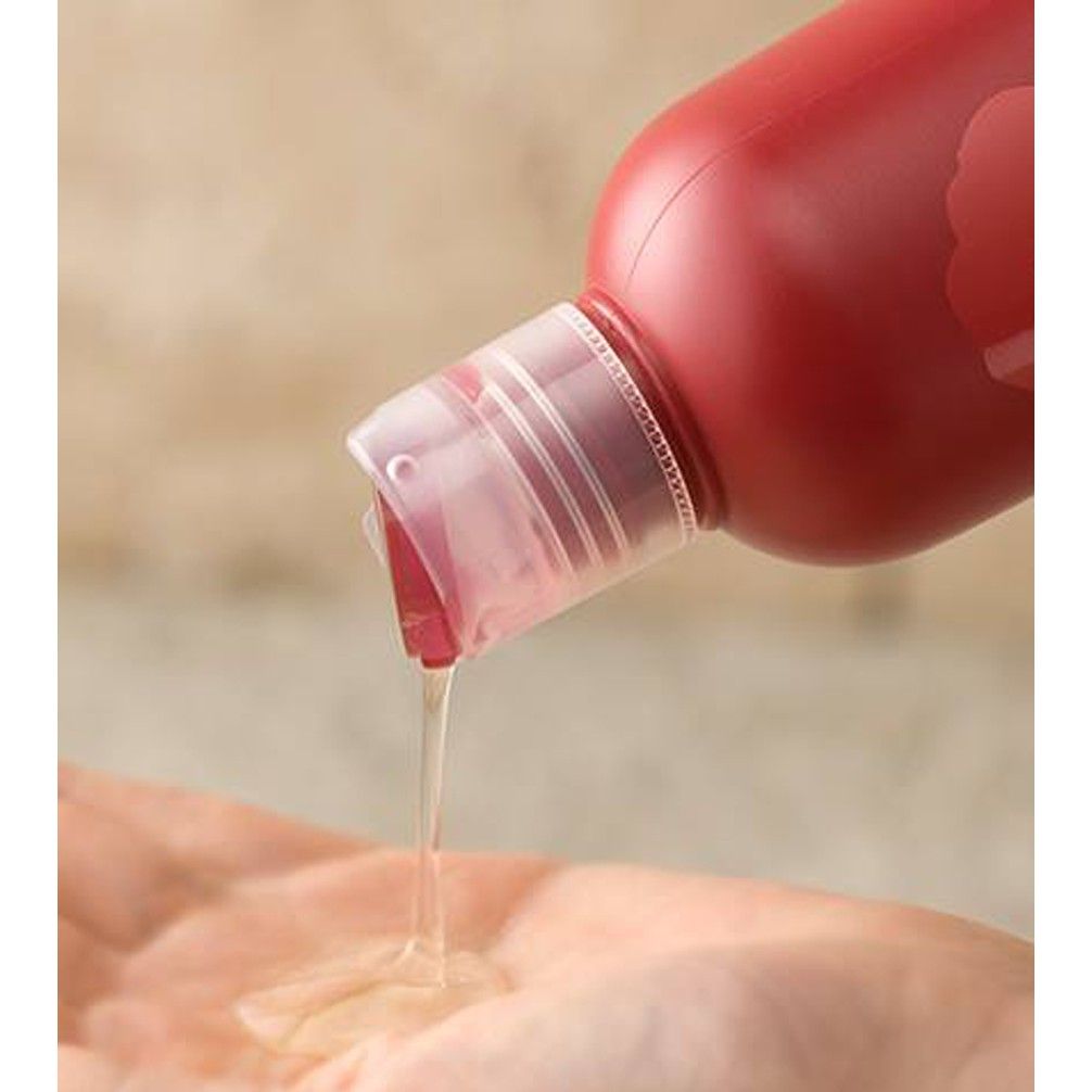 Dầu Gội Phục Hồi Tóc Innisfree Camellia Essential Shampoo