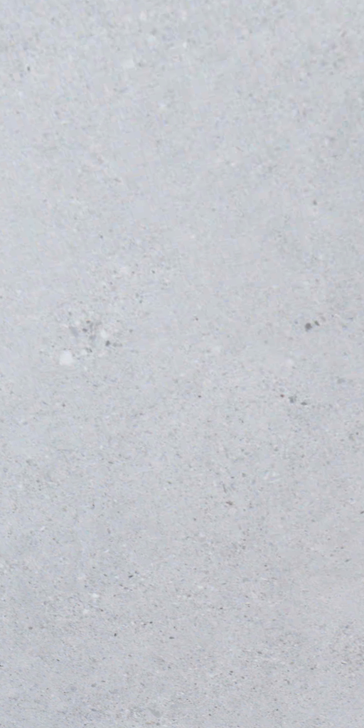 Gạch ốp lát đá mờ vân xám AF-DZVN.NZZH - 80x160