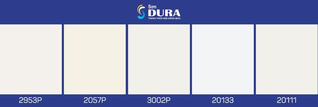 Sơn nhà màu trắng của sự thuần khiết và tinh tế